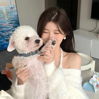 纽约月夜情